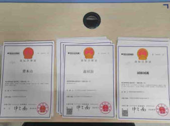 注冊公司 代理記賬公司注冊提供個體戶注冊、內資公司注冊服務